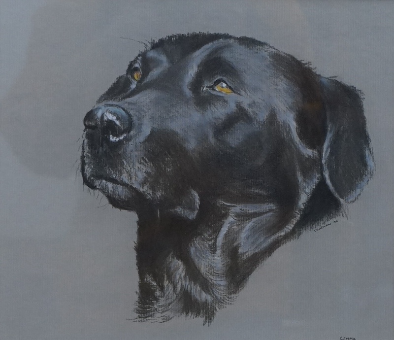 Chapman, heightened pastel, Study of a black labrador ‘Gemma’, signed and dated '90 with three watercolour sketches to the mount, 28 x 32cm. Condition - good